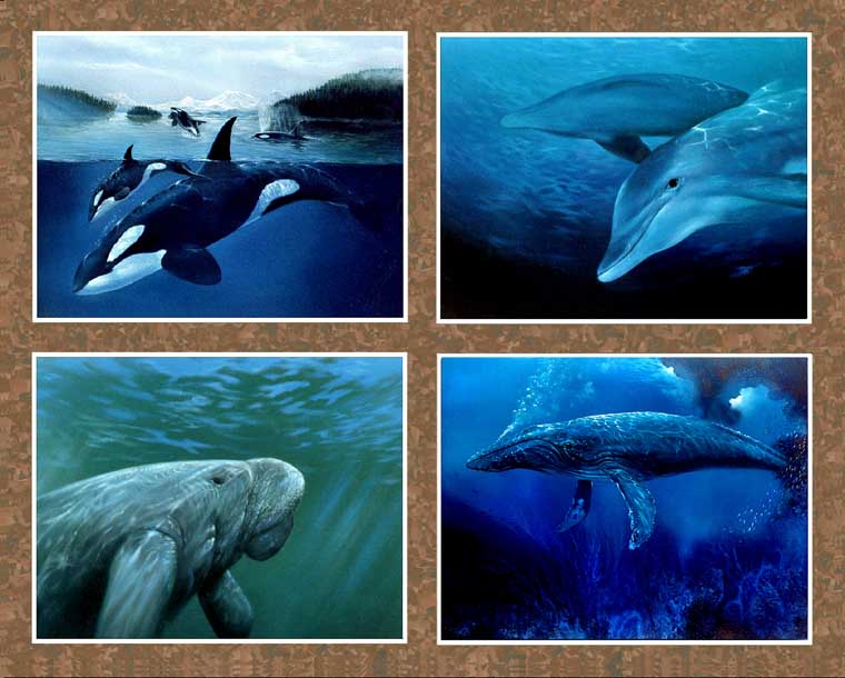 dolphin manatee orca humpback